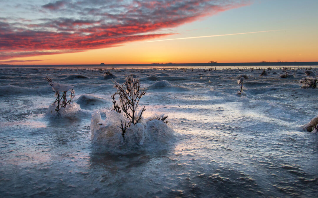 Het Wad in Winter