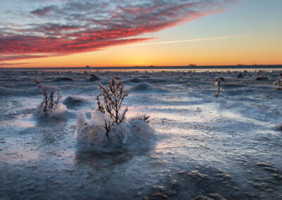 Het Wad in Winter