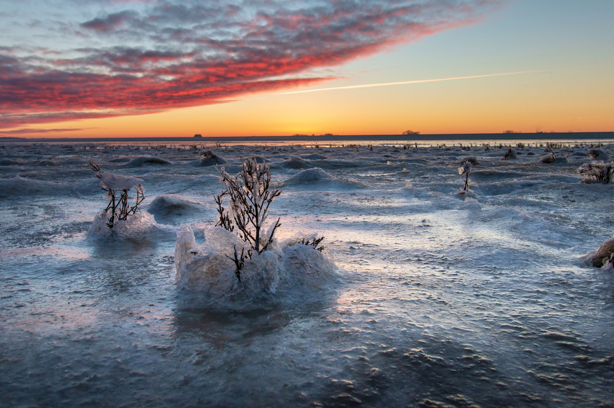 Winter Wad